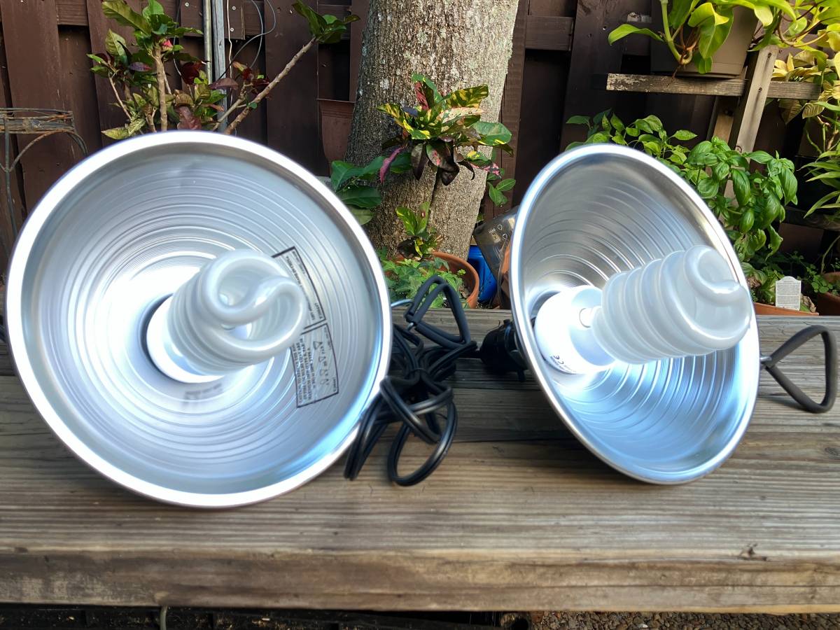 2 lámparas de fotografía, estilo pinza, más 2 bombillas CFL