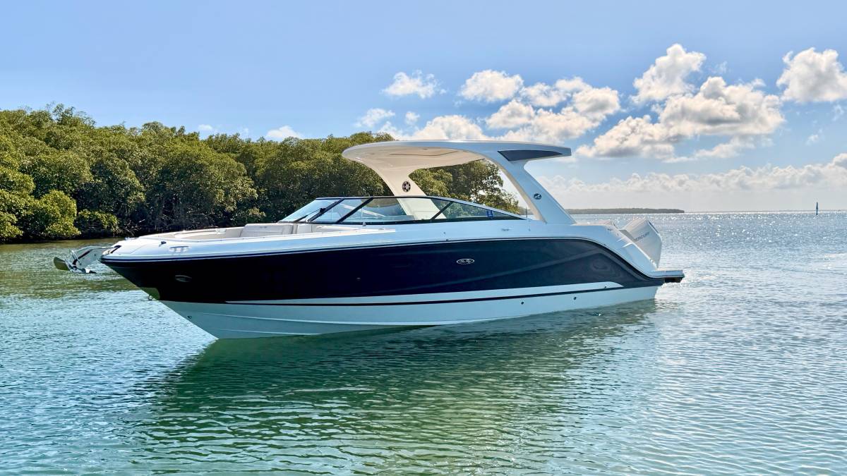 SeaRay 310 SLX