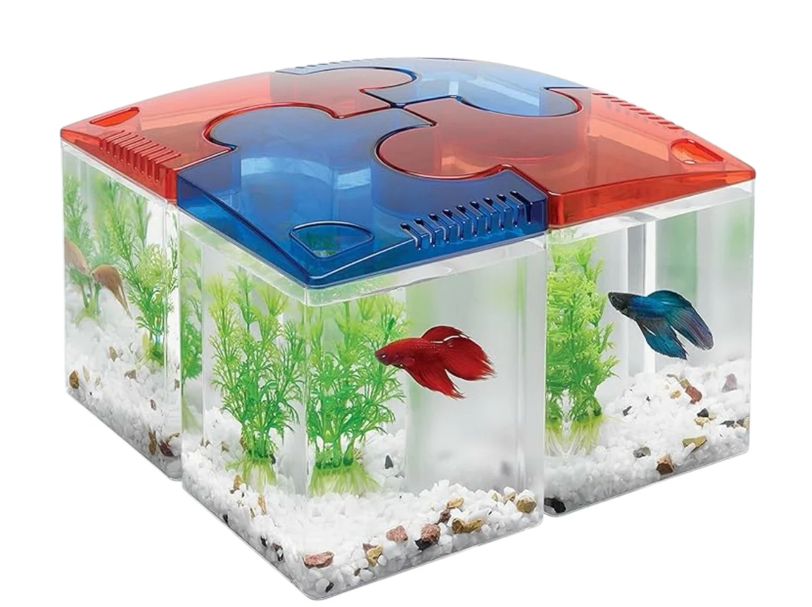 Kit de acuario rompecabezas Aqueon Betta: ¡Perfecto para tu pez betta!