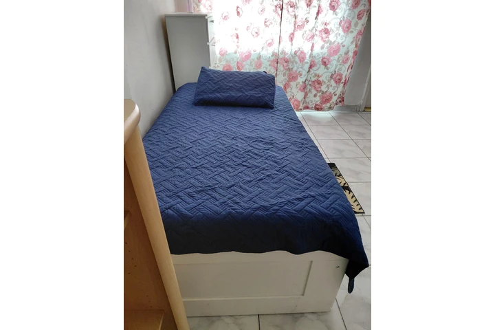 Rento habitación en Flagler