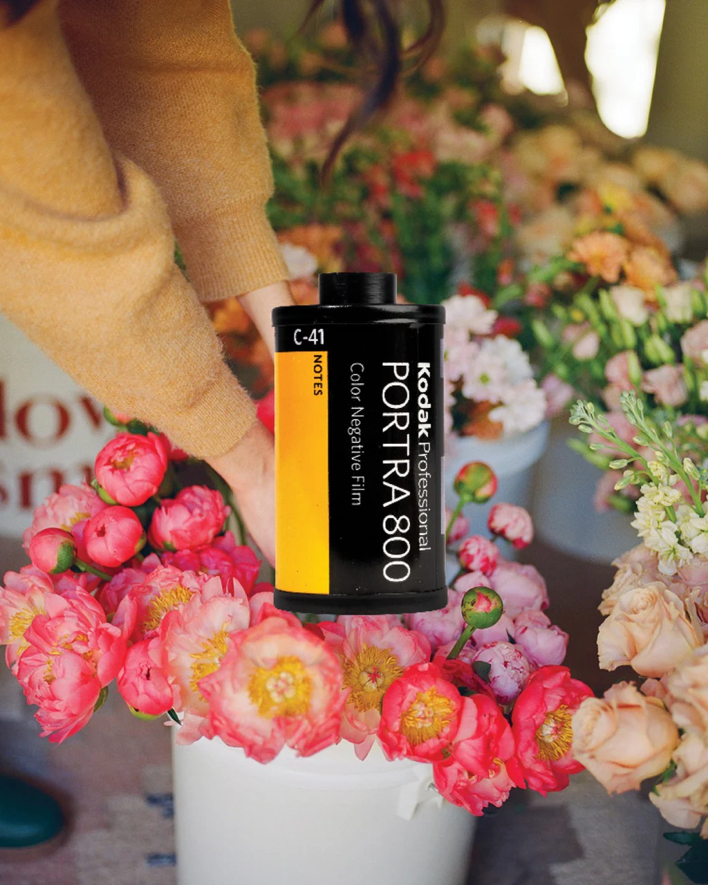 Negativo en color Kodak Portra 800 (película de 35 mm)