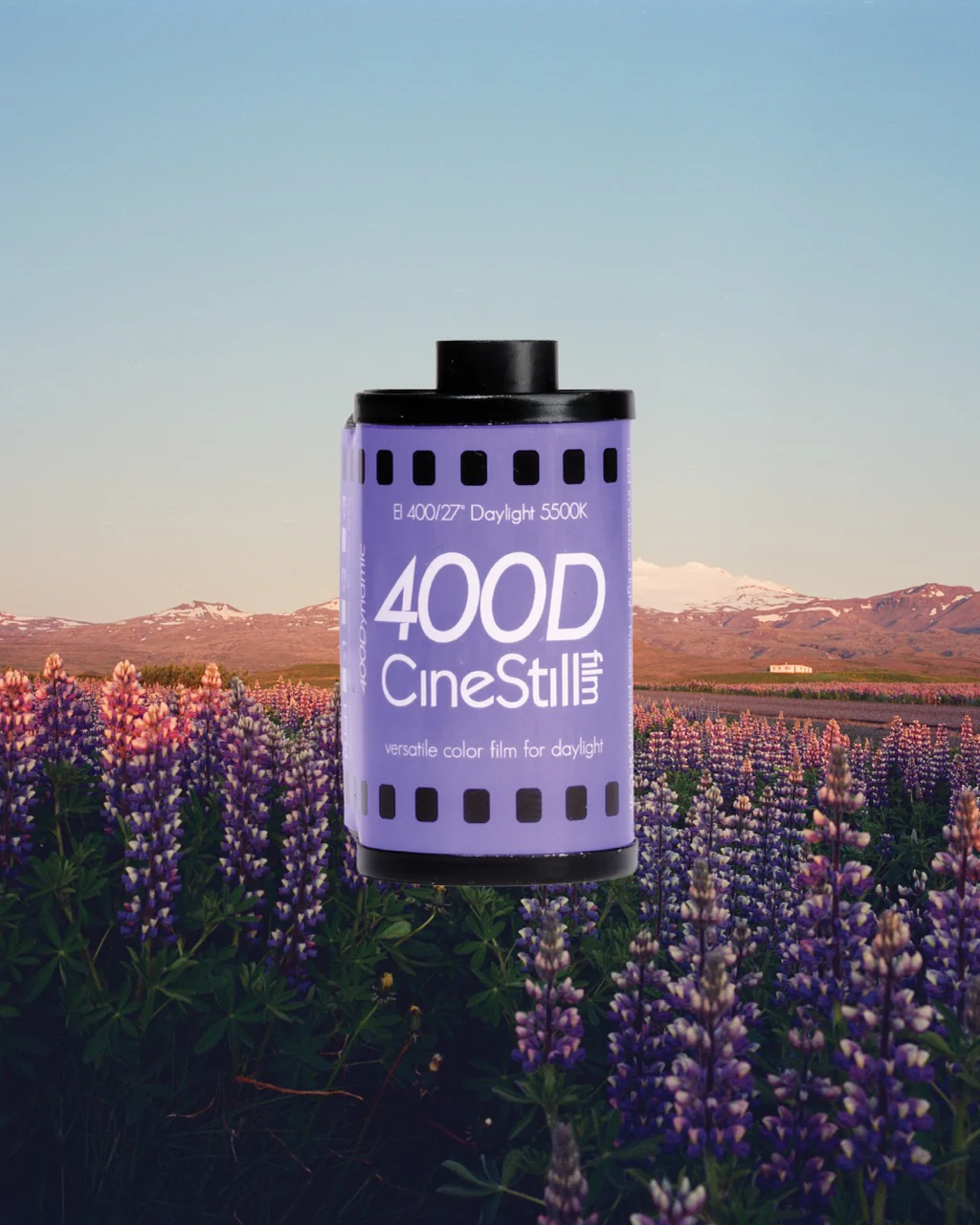 CineStill 400Dynamic (película de 35 mm)