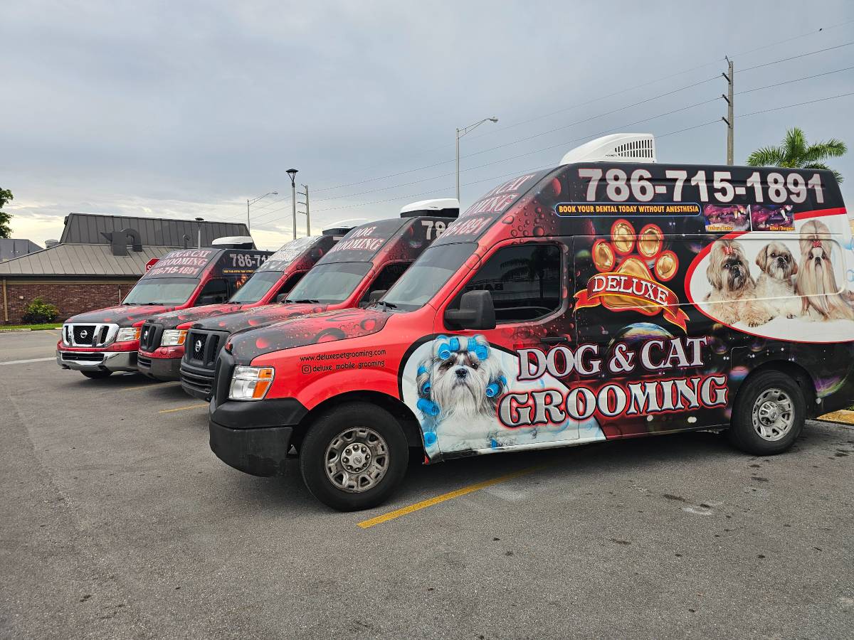 Peluquería para perros y gatos