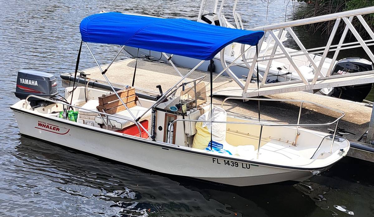 Boston Whaler Montauk de 17' con remolque